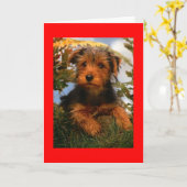 Carte Joyeux anniversaire Airedale Terrier Puppy Dog Car (Fleur jaune)