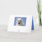 Carte Joyeux Anniversaire American Eskimo Puppy Dog Card (Dos)