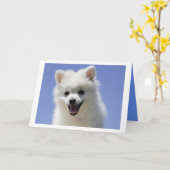 Carte Joyeux Anniversaire American Eskimo Puppy Dog Card (Fleur jaune)