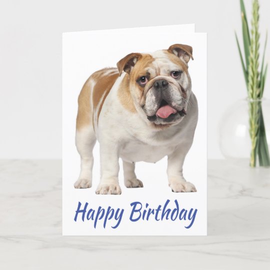 Carte Joyeux Anniversaire Anglais Bulldog Puppy Dog Zazzle Be