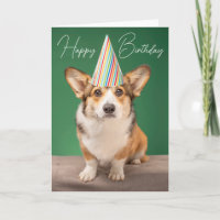 Joyeux Anniversaire | Anniversaire Chien Corgi