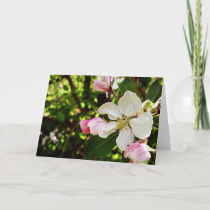 Carte Joyeux anniversaire_Apple-Blossom