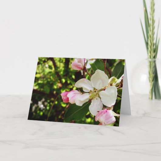 Carte Joyeux anniversaire_Apple-Blossom (Devant)