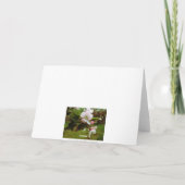 Carte Joyeux anniversaire - Apple Blossum (Dos)