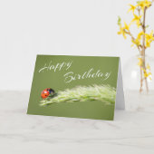 Carte Joyeux anniversaire avec petit coccinelle ! (Fleur jaune)