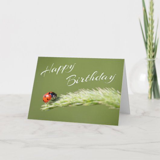 Carte Joyeux anniversaire avec petit coccinelle ! (Devant)