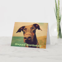 Joyeux anniversaire avec un dobermann mignon