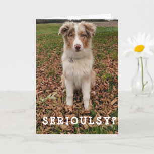 CARTE JOYEUX ANNIVERSAIRE *AVRIL* D'UNE AUSSIE TRÈS INTE