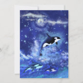 Carte Joyeux anniversaire - Baleines tueuses en Pleine l (Dos)