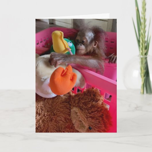Carte Joyeux anniversaire bébé Orangutan Grabs Toys (Devant)