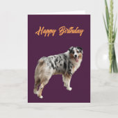 Carte Joyeux anniversaire belle australienne Shepard (Devant)