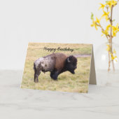 Carte Joyeux anniversaire, bison poussiéreux Taureau (Fleur jaune)