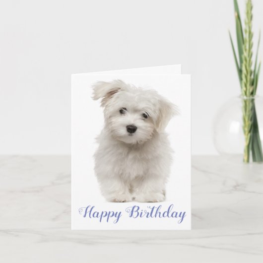 Carte Joyeux Anniversaire Blanc-Maltais Chien Bleu (Devant)