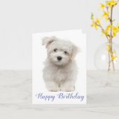 Carte Joyeux Anniversaire Blanc-Maltais Chien Bleu (Fleur jaune)