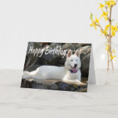 Carte Joyeux Anniversaire Blanc Sibérien Husky Chien chi (Fleur jaune)
