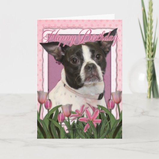 Carte Joyeux anniversaire - Boston et Rat terrier - Jazy (Devant)