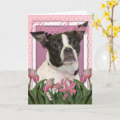 Carte Joyeux anniversaire - Boston et Rat terrier - Jazy (Fleur jaune)
