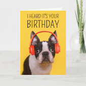 Carte Joyeux Anniversaire | Boston Terrier (Devant)