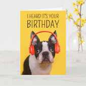 Carte Joyeux Anniversaire | Boston Terrier (Fleur jaune)