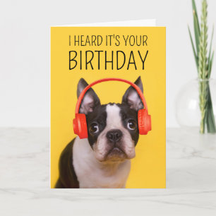 Carte Joyeux Anniversaire   Boston Terrier