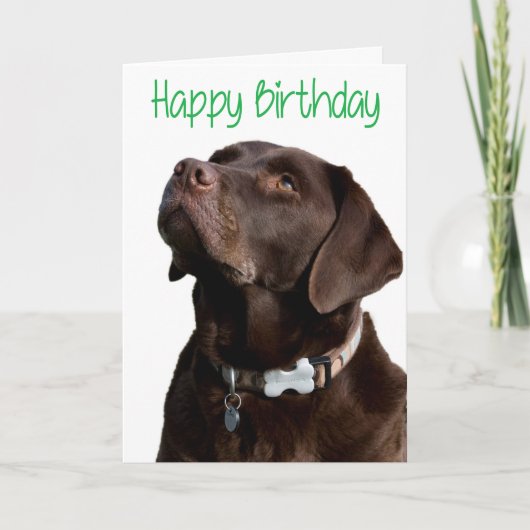 Carte Joyeux anniversaire Brown Labrador Retriever Puppy (Devant)