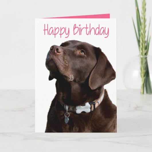 Carte Joyeux anniversaire Brown Labrador Retriever Puppy (Devant)