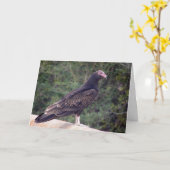 Carte Joyeux anniversaire - Buzzard (Fleur jaune)