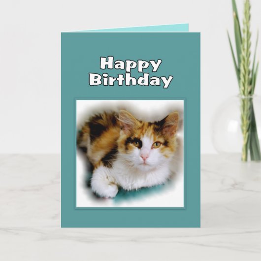 Carte Joyeux anniversaire Calico Cat (Devant)
