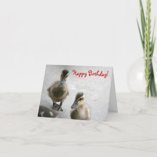 Carte Joyeux Anniversaire, Canettes