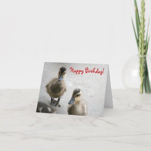 Carte Joyeux Anniversaire, Canettes (Devant)