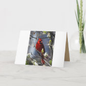 Carte Joyeux Anniversaire Cardinal Féminin dans l'arbre (Dos)