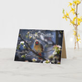 Carte Joyeux Anniversaire Cardinal Féminin dans l'arbre (Fleur jaune)