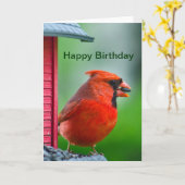 Carte Joyeux anniversaire - cardinal masculin (Fleur jaune)