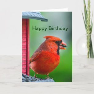 Carte Joyeux anniversaire - cardinal masculin