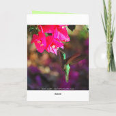 Carte Joyeux Anniversaire Caribe à gorge verte (Dos)