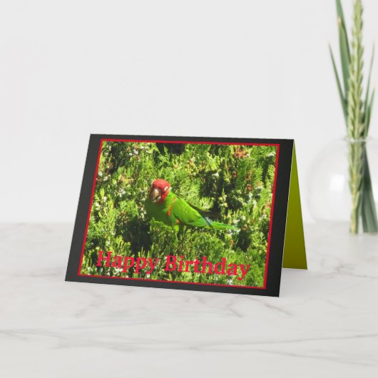 Carte joyeux anniversaire Cerise-dirigé de Conure (Devant)