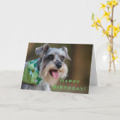 Carte Joyeux anniversaire chanceux de Schnauzer (Fleur jaune)