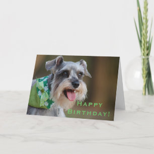 Carte Joyeux anniversaire chanceux de Schnauzer