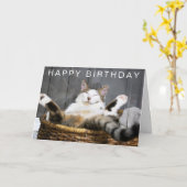 Carte Joyeux Anniversaire | Chat au Lit (Fleur jaune)
