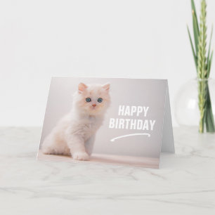 Carte Joyeux Anniversaire Chat aux Yeux Bleus