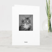 Carte Joyeux Anniversaire Chat Étonné Avec Ruff Cou (Dos)