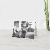 Carte Joyeux Anniversaire : Chat Gris (Devant)