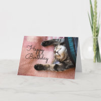 Joyeux Anniversaire | Chat qui somnole
