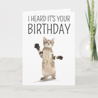 Joyeux Anniversaire | Chat sur Fond Blanc
