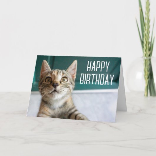 Carte Joyeux Anniversaire | Chat Tigré Mignon (Devant)