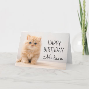 Carte Joyeux Anniversaire Chaton British Longhair