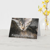 Carte Joyeux Anniversaire chaton et chat (Fleur jaune)