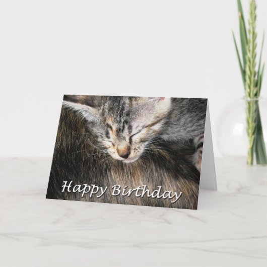 Carte Joyeux Anniversaire chaton et chat (Devant)