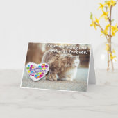 Carte Joyeux Anniversaire (Chats) - Chrétien (Fleur jaune)