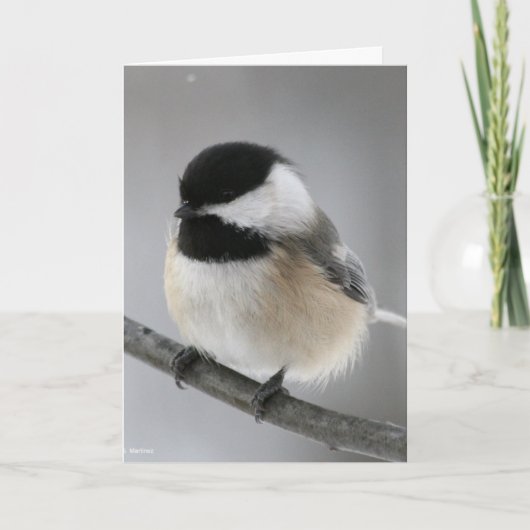 Carte Joyeux anniversaire Chicky Poo ! (Devant)